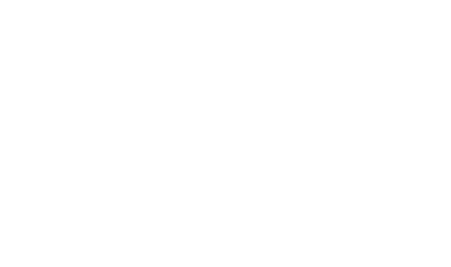 DVMD Logo